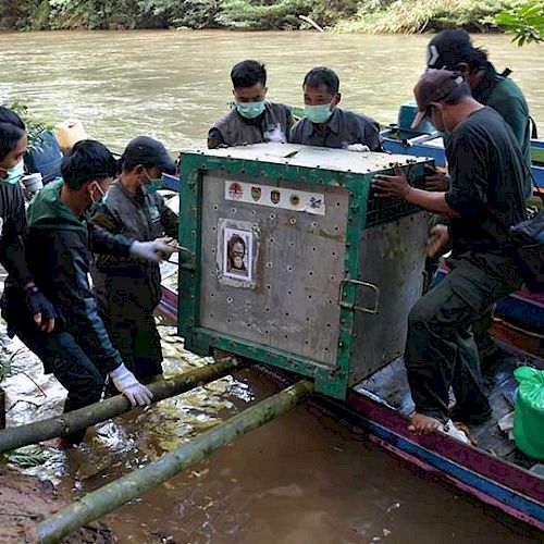 Ein Orang-Utan-Transportkäfig wird auf ein Boot verladen